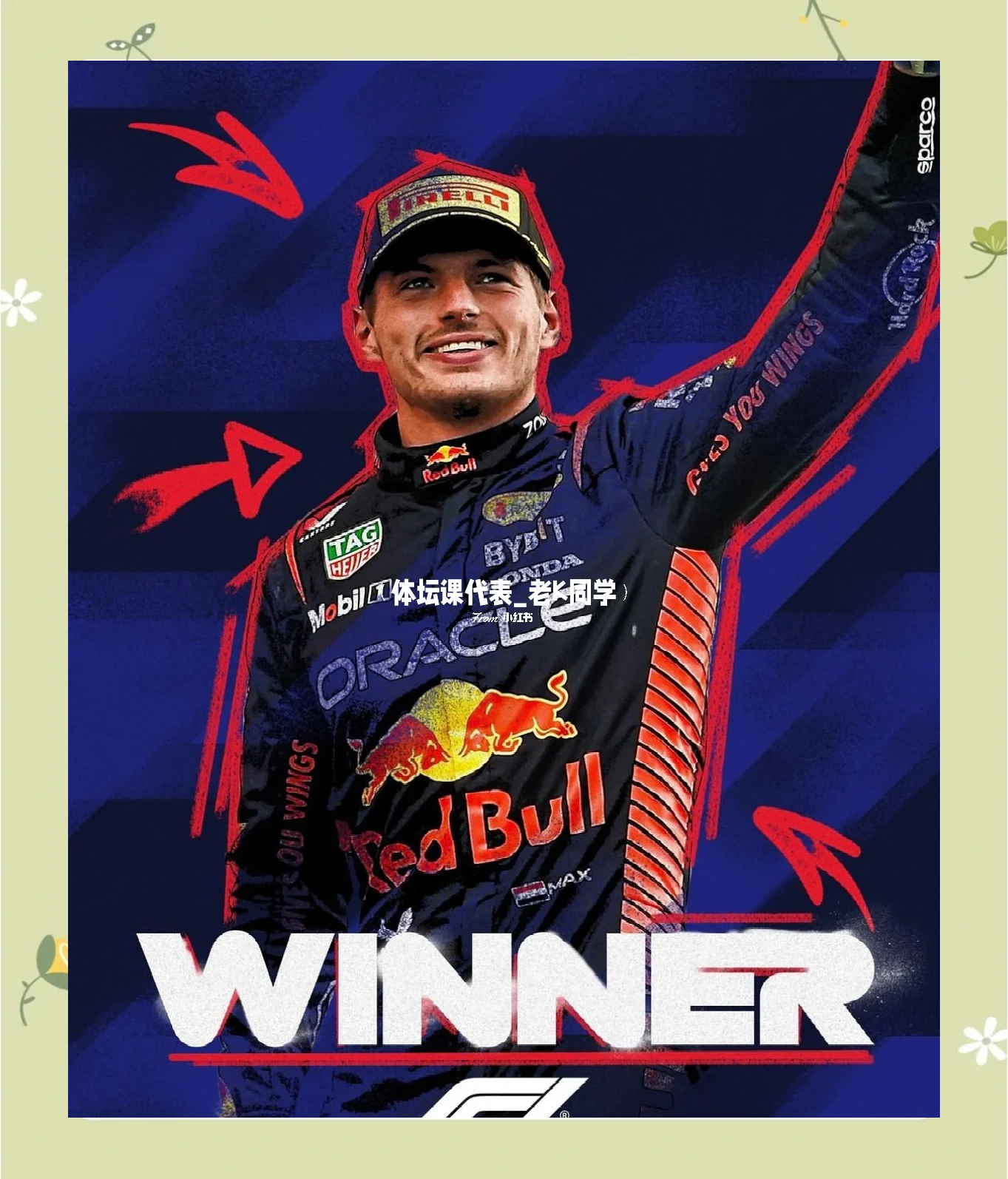 九游娱乐app下载-哈斯车队完胜法拉利，维斯塔潘惊艳四座的简单介绍